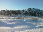 Skiing through the forest towards Gaukheihytta cabin
