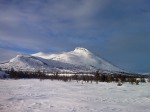Day 46. Pine forests and loose snow around Storkringla