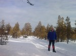 Day 46. Beautiful skiing along forest tracks south of Folldal