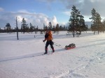 Day 64. Andre Spica skiing through the pine forest above Gjevsjo farm