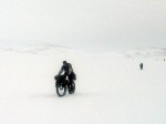Day 100. An apparition comming out of the grey mist