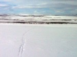 Day 103. Looking south to Reisajavri and its flat surroundings
