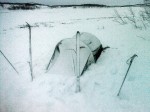 Day 104. A snowy dawn in Njivlovuopmi