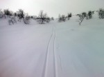 Day 108. Descending down Silesskaidi into the birch trees