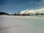 Day 96. Looking up Anjavassdalen valley from the treeline