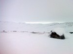 Day 99. Poor visibility on the featureless tundra of Duoibal mountain