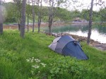 Day 176.2 A camp in the grassy forest at Kloven bay on Senja island