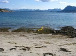 Day 189.1 The beautiful beach at Prestgardsfjaere on Rodoy with the mountains to the west of Svartisen icecap on the mainland across the water