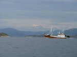 Day 218.5  An old fishing trawler heading through the mass of grey islands on the south of Sognesjoen near Mjomna