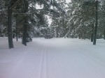 Day 49. The beautiful ski trail north of Tynset