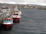 Day 150. The three boats which operate out of Gamvik harbour is a fraction of the operation at Mehamn or Berlevag