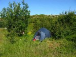Day 187.1 My camp in the sheltered birch woods on a headland a few km south of Kunna